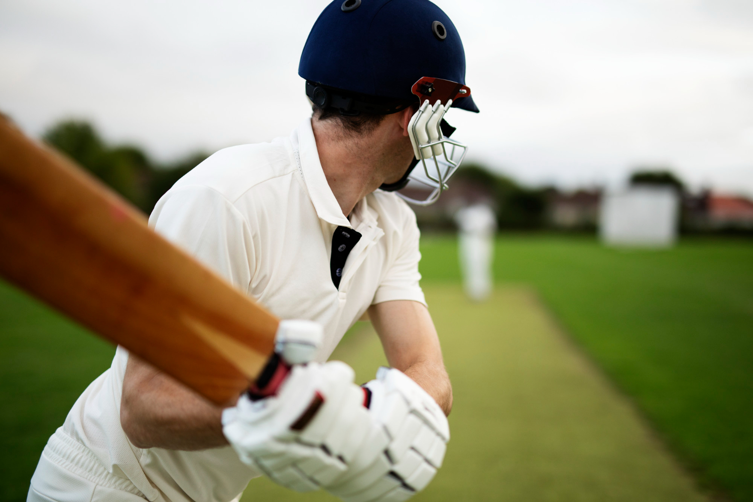About Cricket